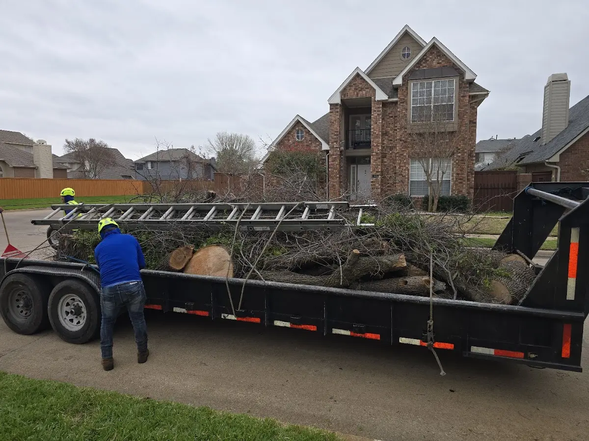 Expert Crown Reduction with proper safety equipment in Tannersville